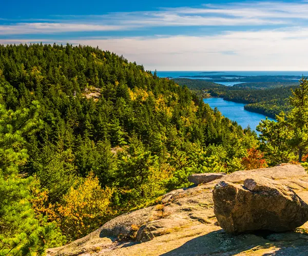 Popular Types of Rehab in Maine