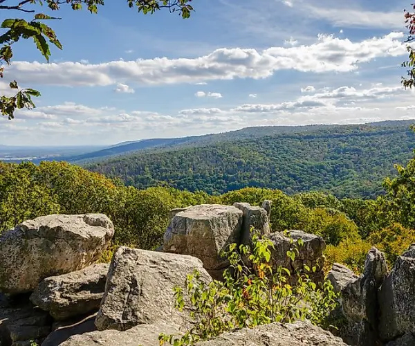 Spotlight Image for Maryland