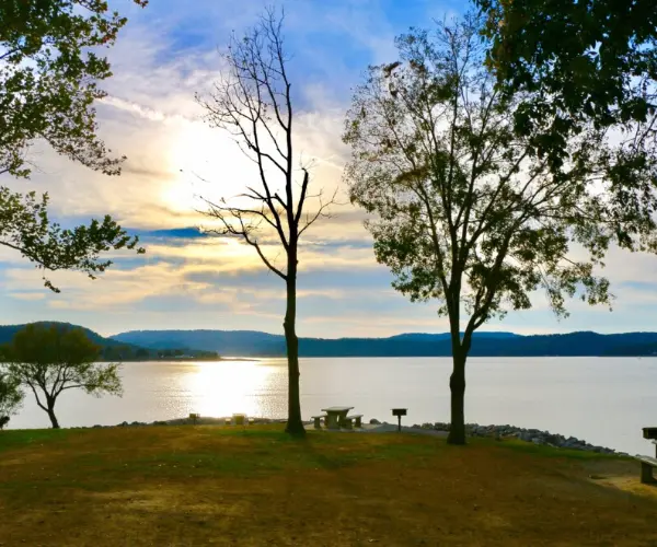 Popular Types of Rehab in Missouri