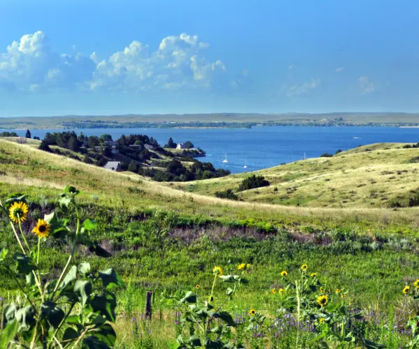 Popular Types of Rehab in Nebraska