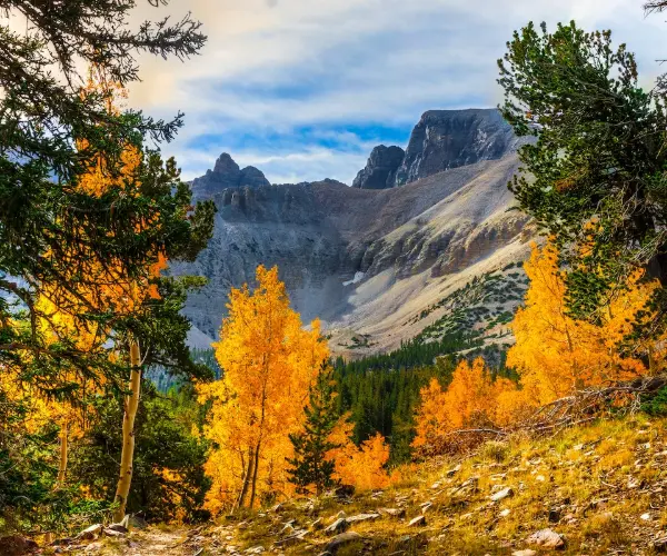 Spotlight Image for Nevada