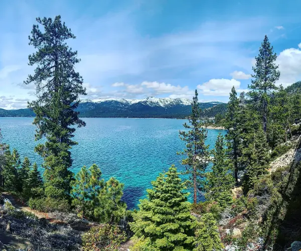 Popular Types of Rehab in Nevada