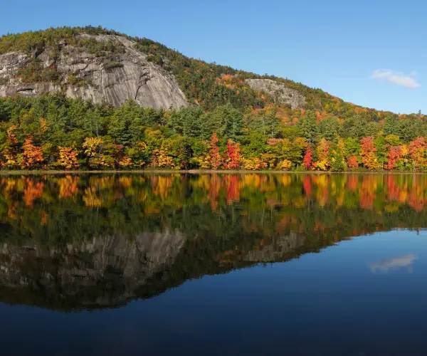 Popular Types of Rehab in New Hampshire