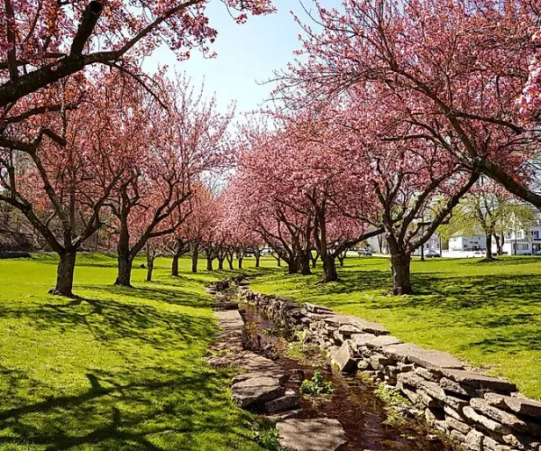 Popular Types of Rehab in New Jersey