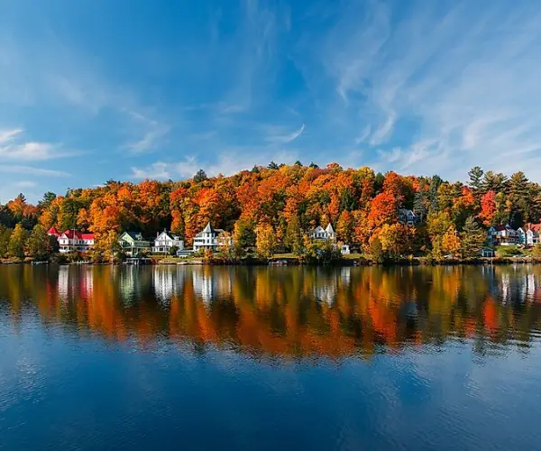 Popular Types of Rehab in New York