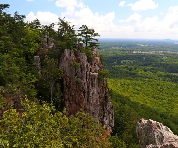 Popular Types of Rehab in North Dakota