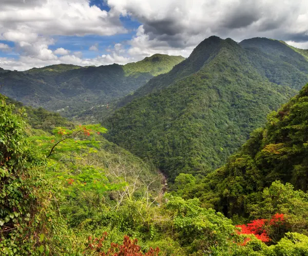 Spotlight Image for Puerto Rico