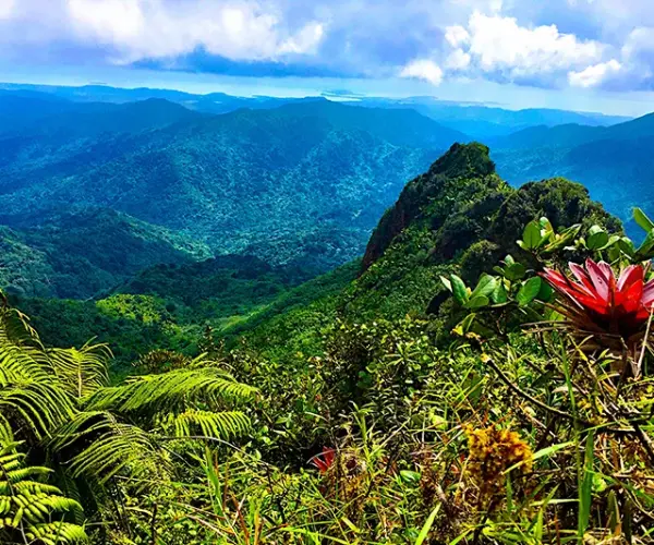 Popular Types of Rehab in Puerto Rico