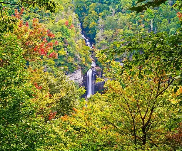 Spotlight Image for South Carolina