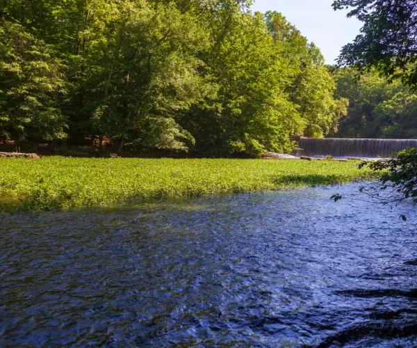 Spotlight Image for Tennessee