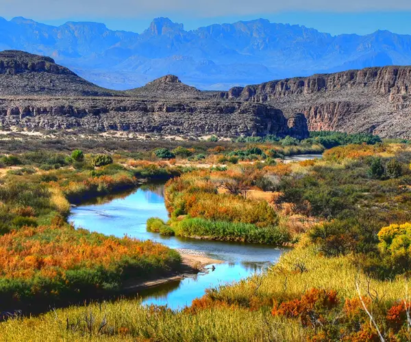 Spotlight Image for Texas