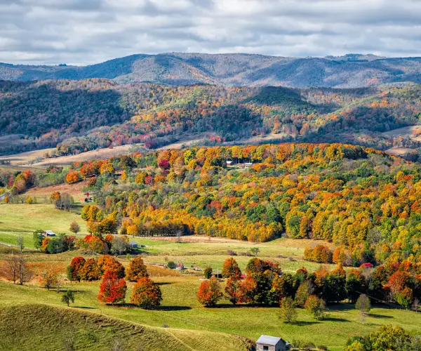 Spotlight Image for Virginia