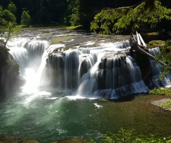 Popular Types of Rehab in Washington