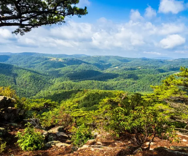 Spotlight Image for West Virginia