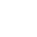 document Icon